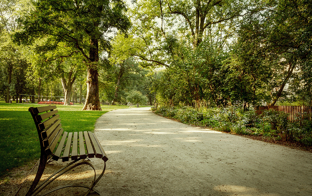 Ruhiger Weg durch eine grüne Parkanlage mit Bäumen, Sträuchern und einer Bank am Rand