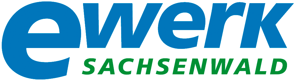 e-werk-sachsenwald-gmbh-logo